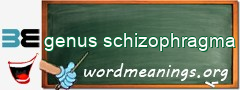 WordMeaning blackboard for genus schizophragma